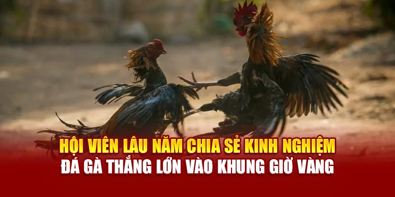 Bước đặt cược thực hiện nhanh chỉ trong vòng 1 phút