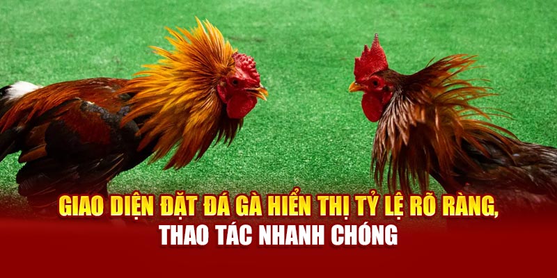 Hệ thống livestream sắc nét, nhiều góc quay hỗ trợ phân tích